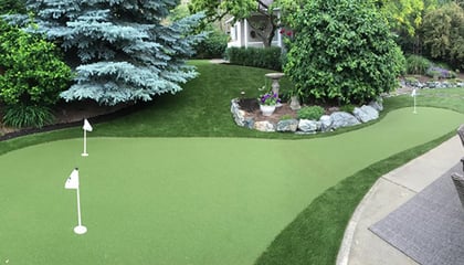 Backyard Oasis
